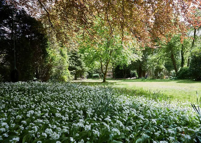 Afon Rhaiadr Country House