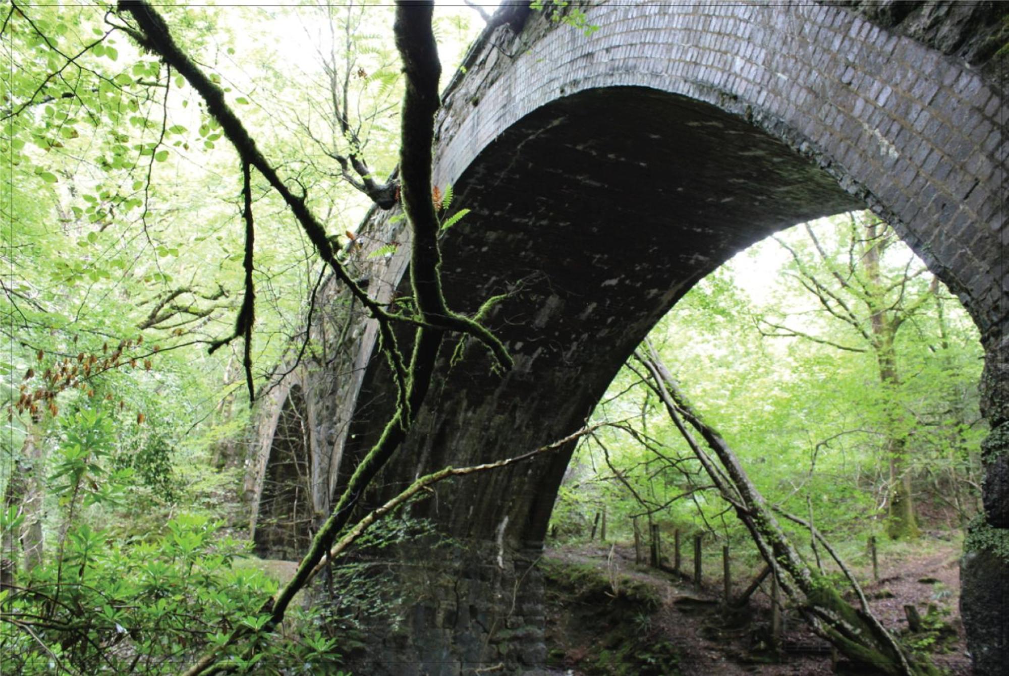 Afon Rhaiadr Bed & Breakfast